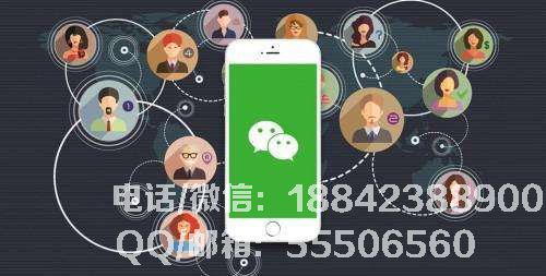 1551495832659826.jpg