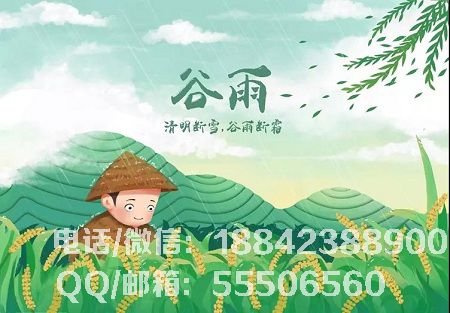 1554096641731379.jpg