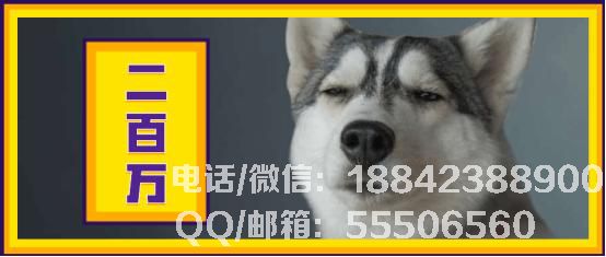 1151054292-0.jpg